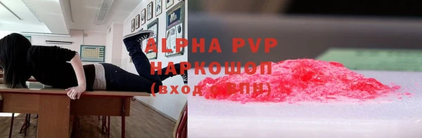 стаф Володарск