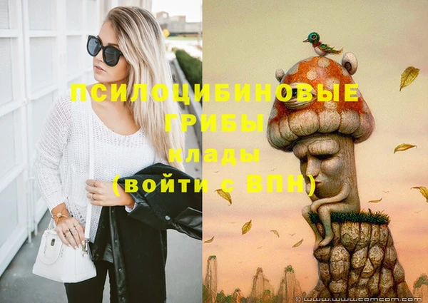 стаф Володарск