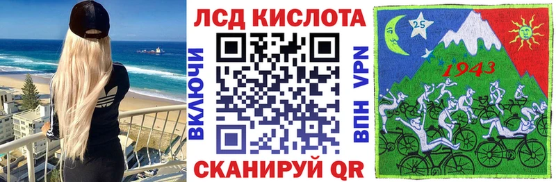 Марки N-bome 1500мкг  как найти   Зубцов 