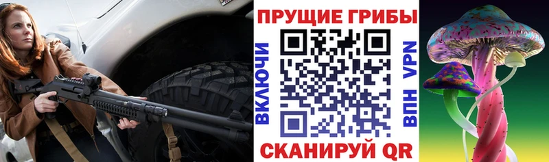Псилоцибиновые грибы мухоморы  где можно купить наркотик  Зубцов 